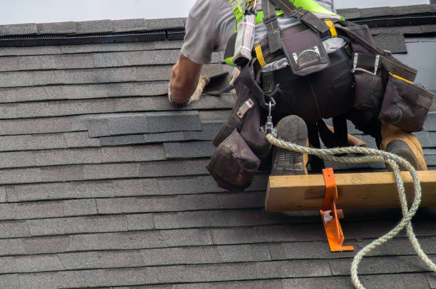 Professional Roofing Services in St Joseph, IL