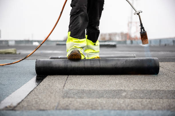 Best Asphalt Shingle Roofing  in St Joseph, IL